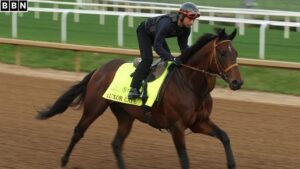 Kentucky Derby 2025 Betting Guide